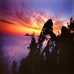 Ϧ��ӭ����